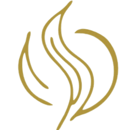 untitled design 3 removebg preview